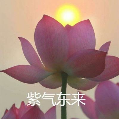 将夜后传手游下载